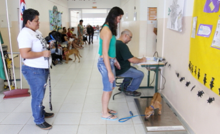 foto Not&iacute;cia Jacareí