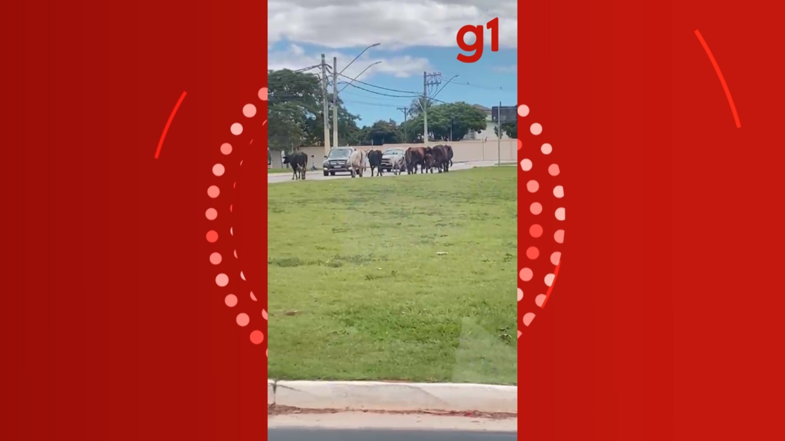 foto Not&iacute;cia Jacareí