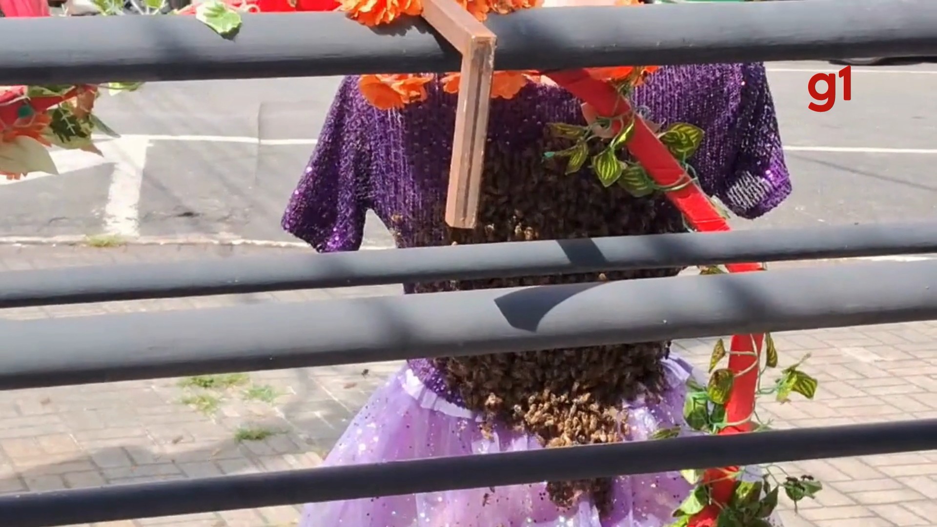 foto Not&iacute;cia Jacareí