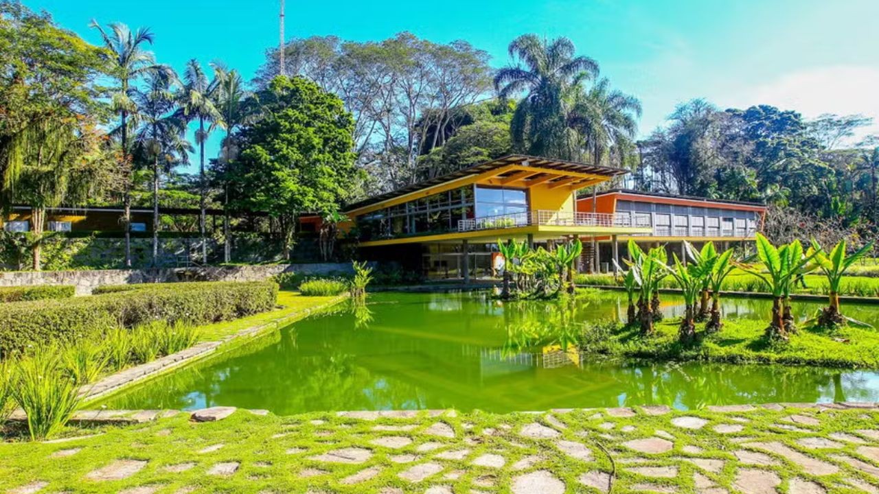 foto Not&iacute;cia Jacareí